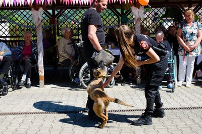 Jarní zahradní slavnost 2025