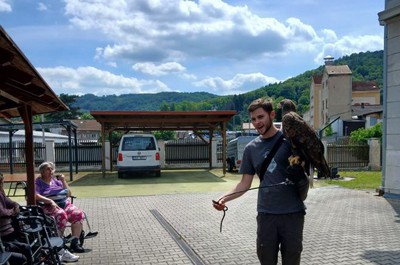 Přehlídka dravců 22. 5. 2026
