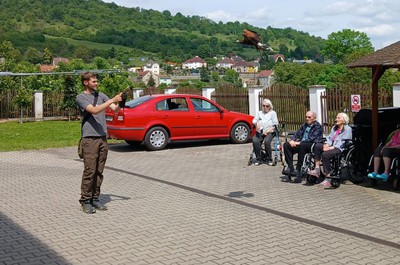 Přehlídka dravců 22. 5. 2026