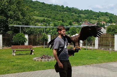 Přehlídka dravců 22. 5. 2026