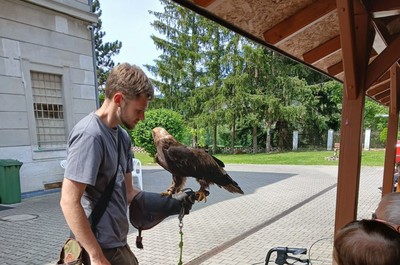 Přehlídka dravců 22. 5. 2026