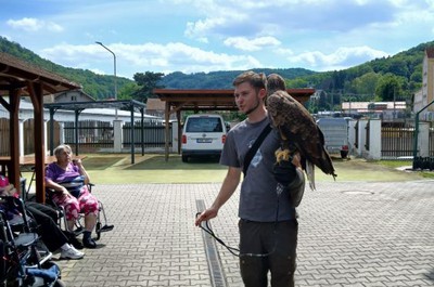 Přehlídka dravců 22. 5. 2026