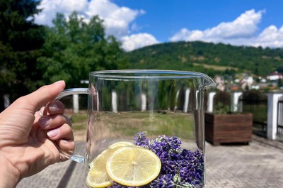 Sběr levandule a výroba limonády a olejíčků 2. 7. 2026