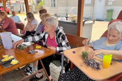 Sběr levandule a výroba limonády a olejíčků 2. 7. 2026