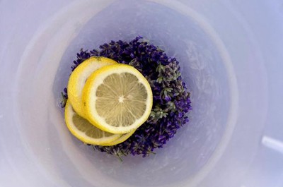 Sběr levandule a výroba limonády a olejíčků 2. 7. 2026