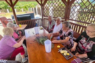 Sběr levandule a výroba limonády a olejíčků 2. 7. 2026